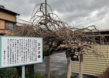 長篠城１２.jpg