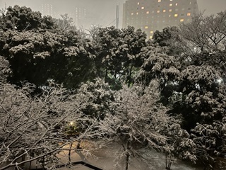 雪2.jpg