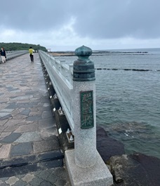 青島1.jpg