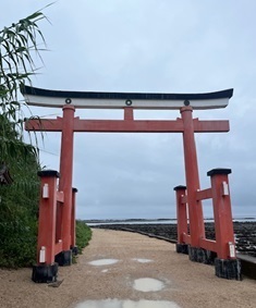 青島5.jpg