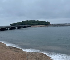 青島7.jpg