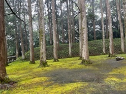 飫肥城4.jpg