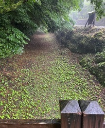 飫肥城8.jpg