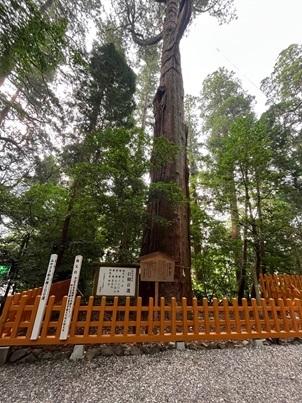 高千穂神社4.jpg