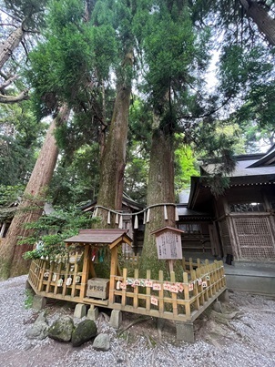 高千穂神社5.jpg
