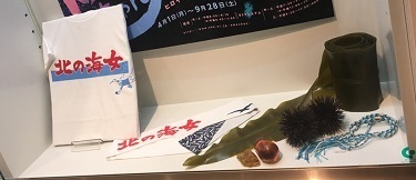 NHK15.jpg