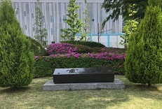 NHK26.jpg