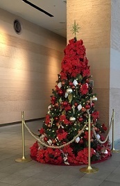 Xmas2017-10.jpg