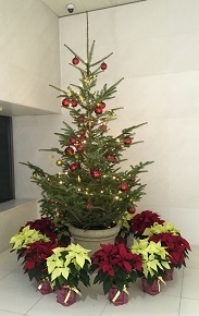 Xmas2017-3.jpg